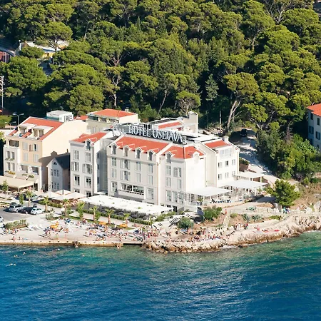 Hotel Osejava